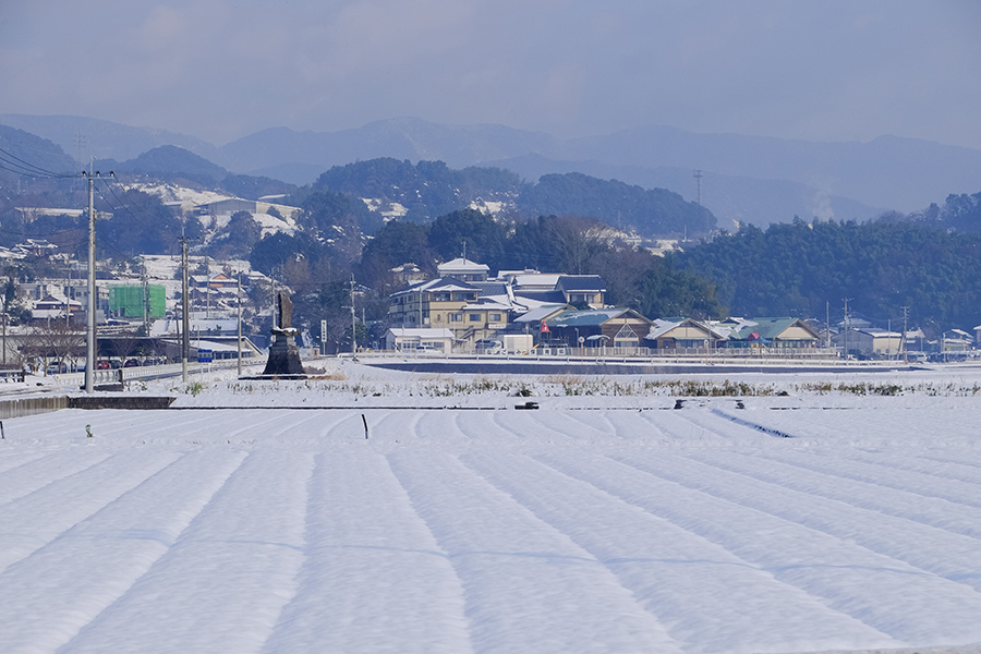 ”佐賀の大地に雪が積もる日”_c0014538_2337476.jpg