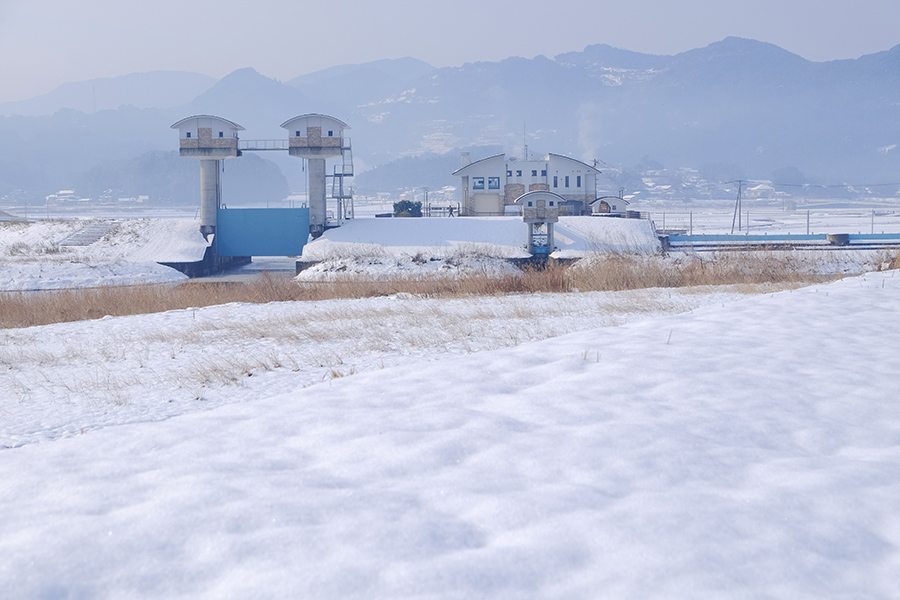 ”佐賀の大地に雪が積もる日”_c0014538_2338189.jpg