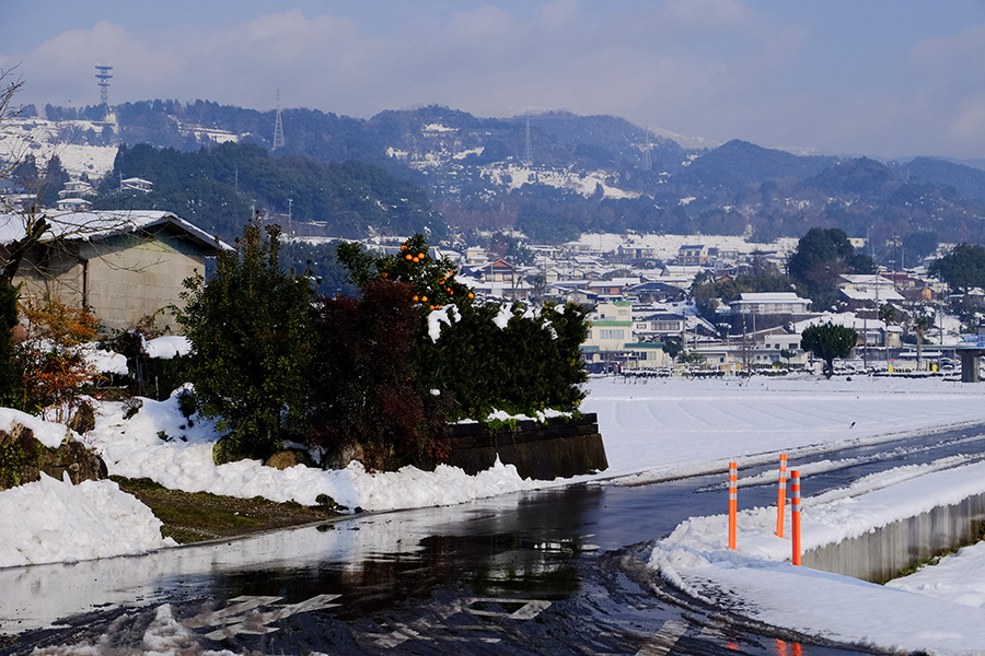 ”佐賀の大地に雪が積もる日”_c0014538_2338320.jpg