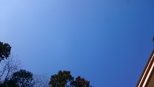 e0145441_22285053.jpg