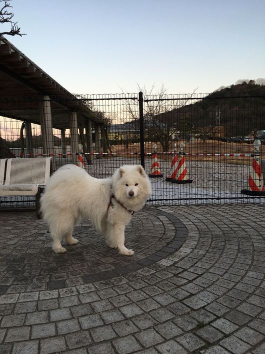 2016年 九州旅行 その1_f0128542_0232816.jpg