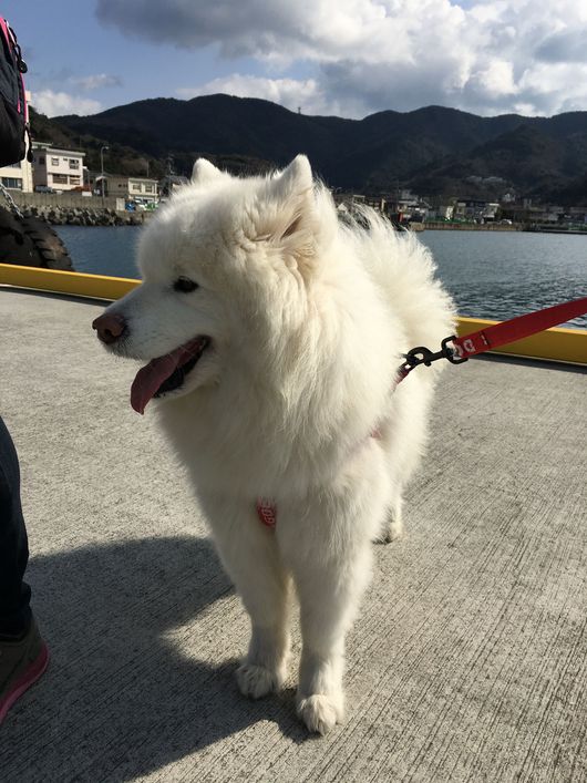 2016年 九州旅行 その1_f0128542_0331112.jpg