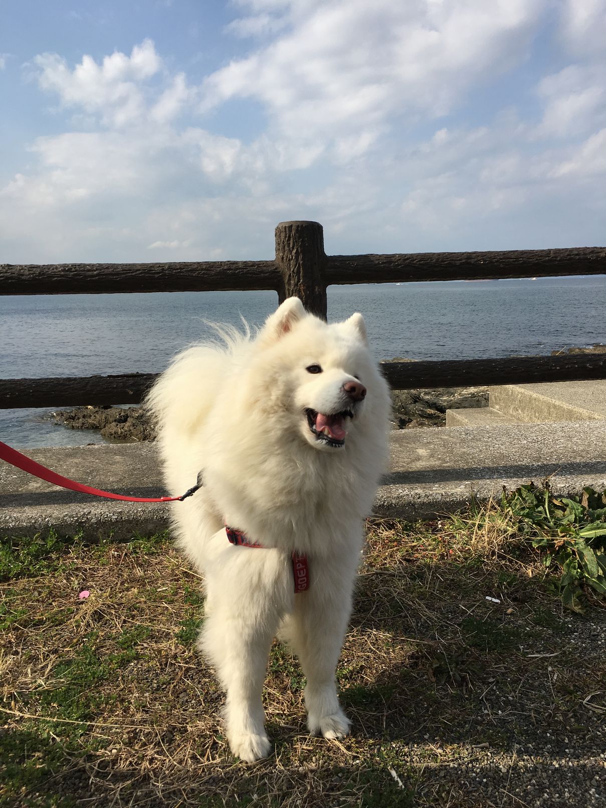 2016年 九州旅行 その1_f0128542_0453561.jpg