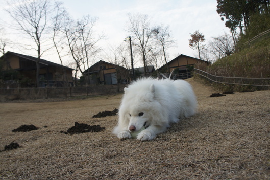 ２０１６年  九州旅行　その１_f0128542_0535091.jpg