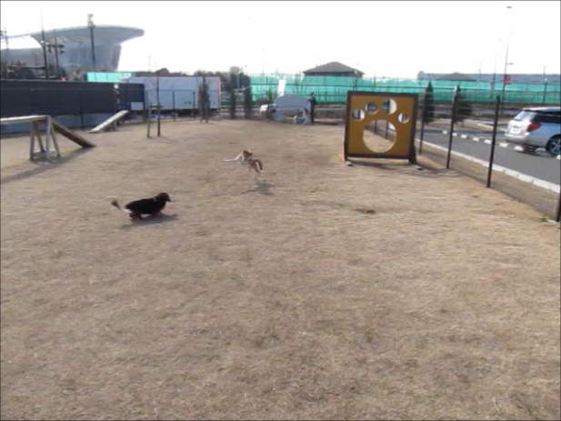 d0226051_19175436.png
