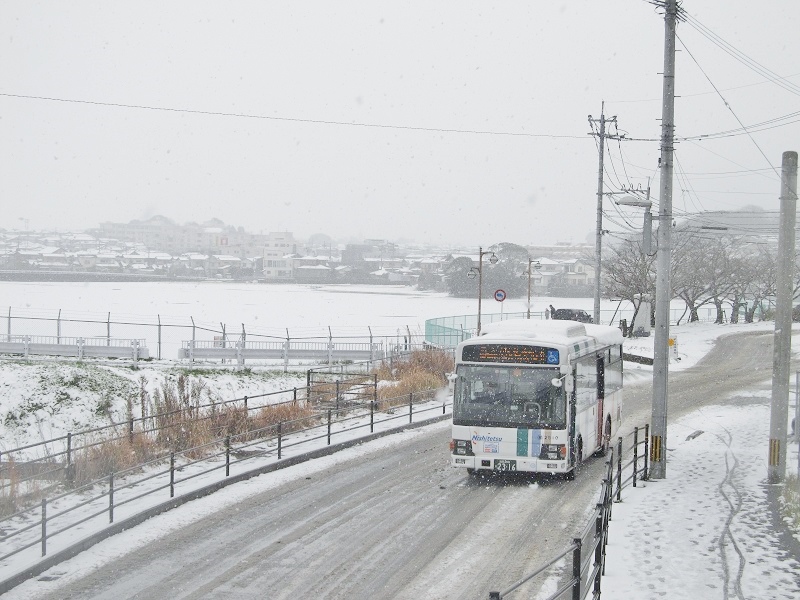 福翔高校前・(福岡市南区)　～一面に氷が張った野多目池～_d0158053_20275573.jpg