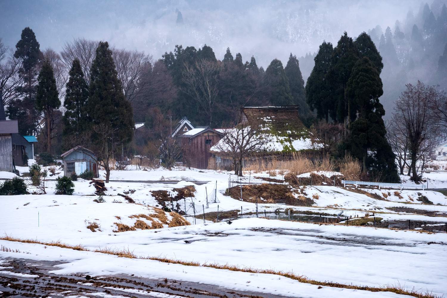 冬景色　　　　　滋賀県_d0286954_06240396.jpg