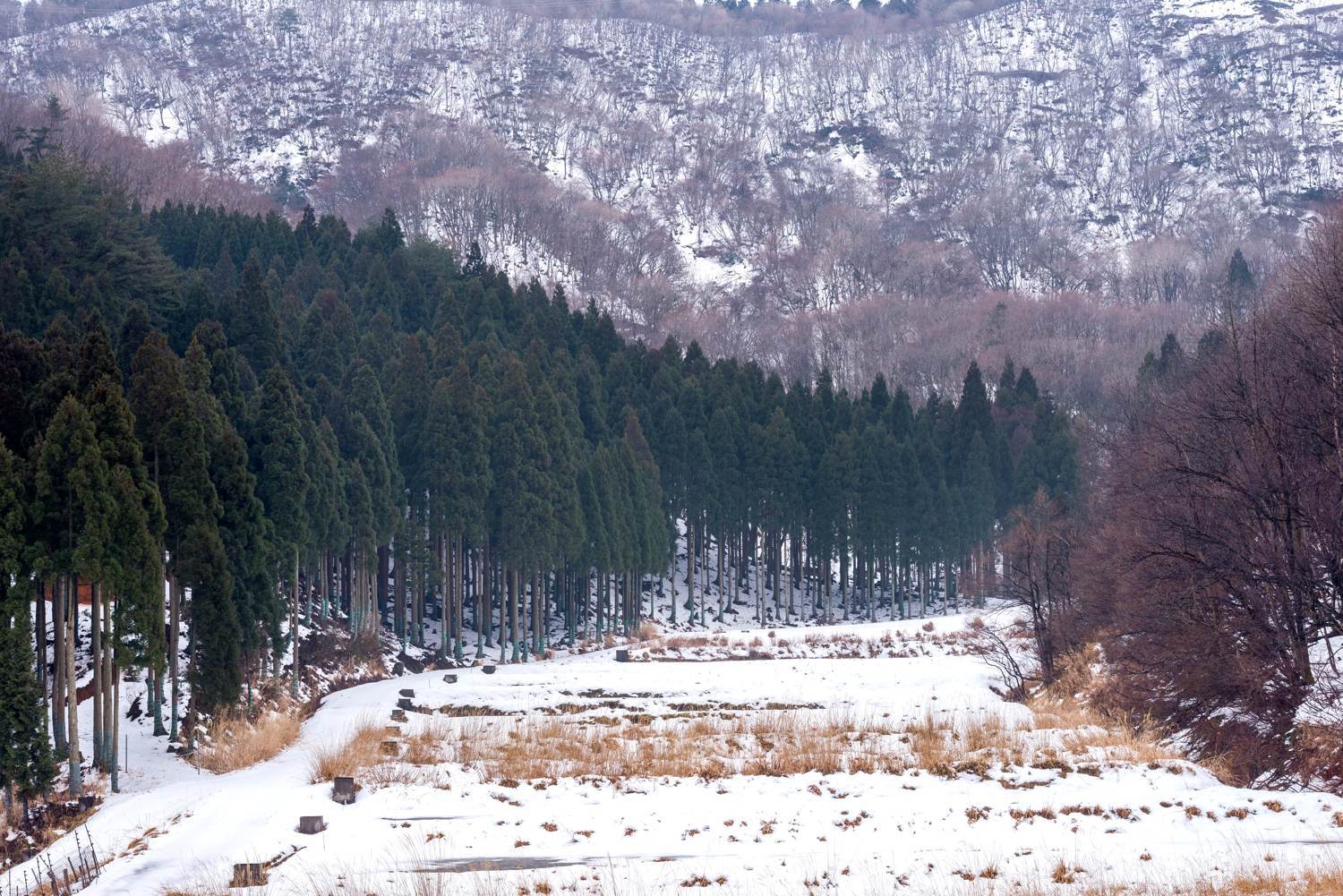 冬景色　　　　　滋賀県_d0286954_06241551.jpg