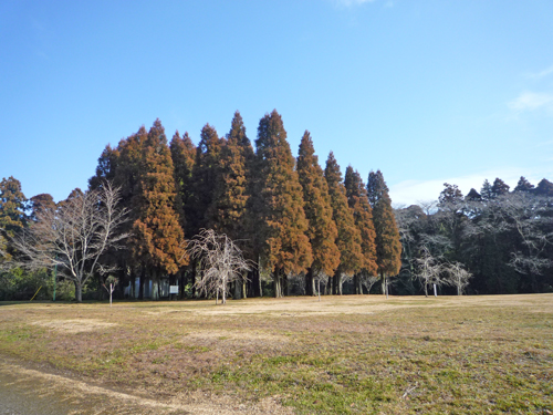 b0045357_962522.jpg