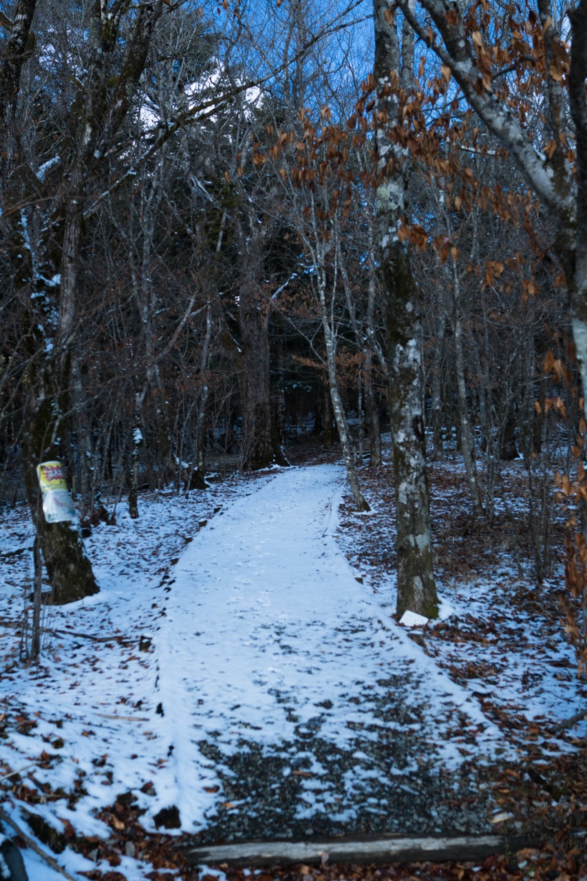 冬の散歩道_c0260264_2074853.jpg