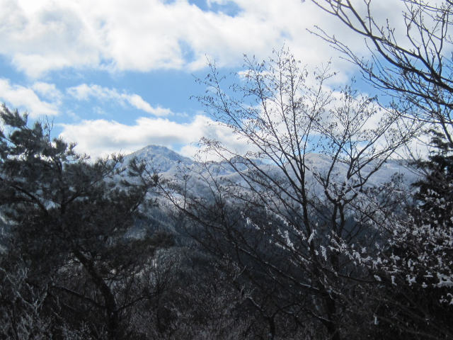 2016.2.3　風呂塔1402ｍ～火打山1425ｍ_c0219866_8574070.jpg