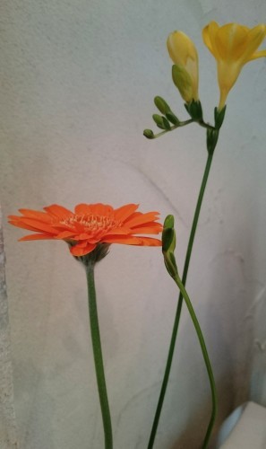 心落ち着く☆場所・カウンセリング☆セッションのお知らせ_a0349374_12403162.jpg