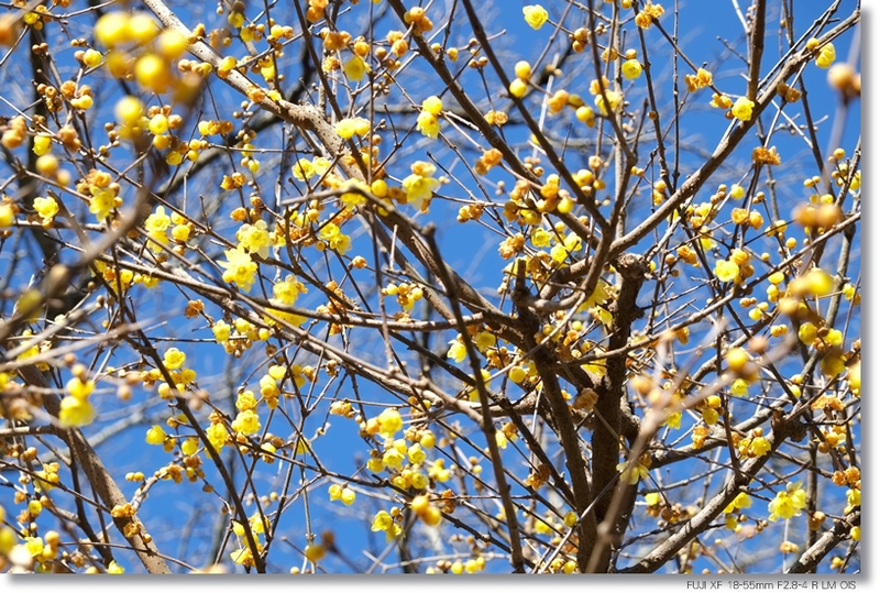 c0054876_1645091.jpg