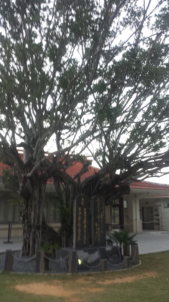 護国神社、まさかのつながり_f0186787_20365646.jpg
