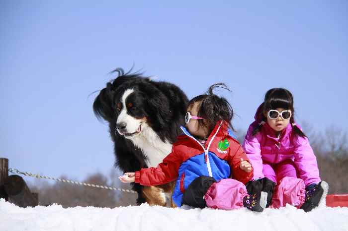 子供と犬の雪遊び　つづき_b0158390_15163050.jpg