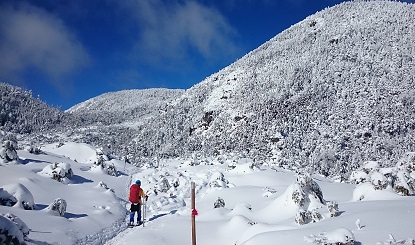 美しい山_e0077899_10142097.jpg
