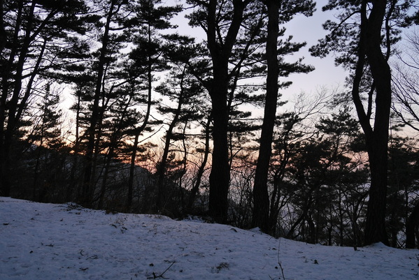 a0140305_1542875.jpg