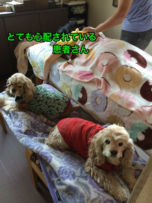 寄りそう看板犬_b0067012_0221470.jpg