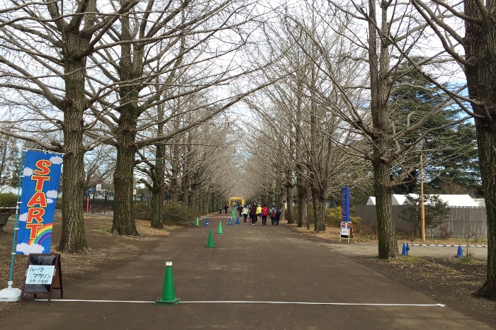 ランニングフェスタ in 国営昭和記念公園。_c0022340_2365384.jpg