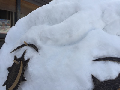 2月5日 かぜ?_e0318040_13391224.jpg