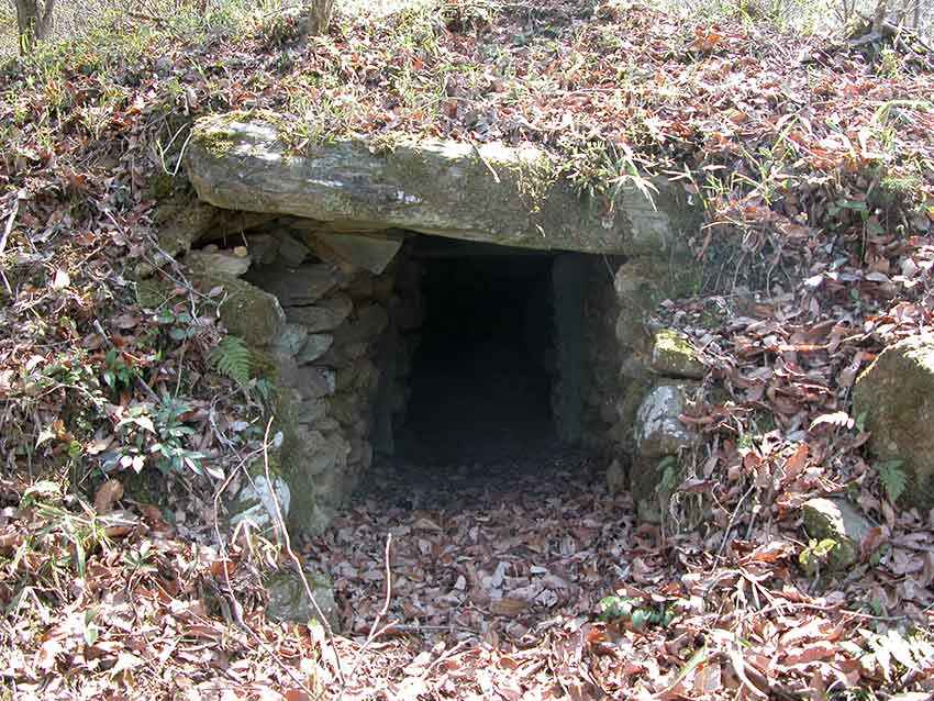 正八幡大神宮と三島古墳群♪_d0058941_2141091.jpg