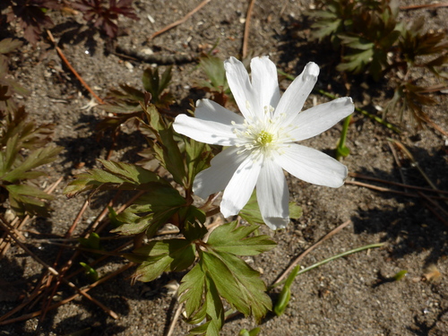 b0238249_2038551.jpg
