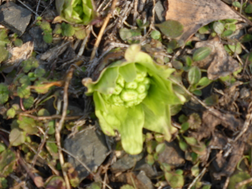 b0238249_20415012.jpg