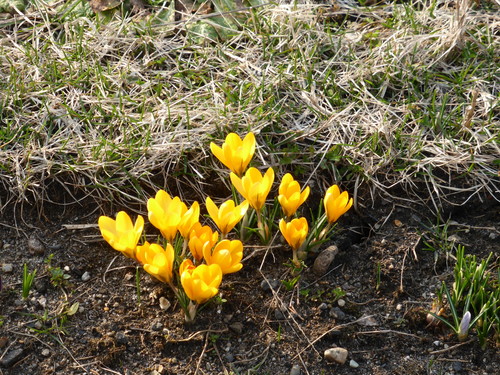 b0238249_20421719.jpg
