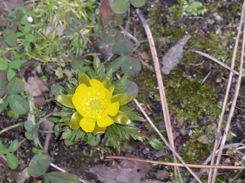 b0238249_204244100.jpg