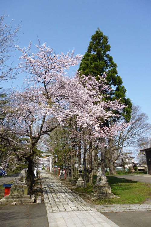 b0238249_20523254.jpg