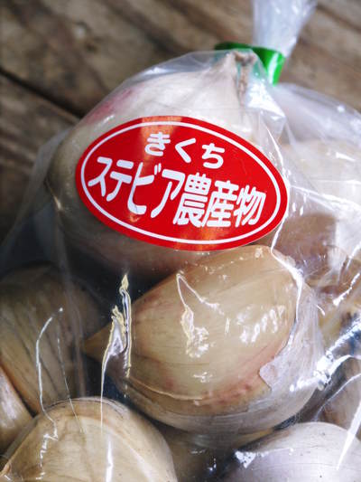 熊本産『ステビアにんにく』 今年も無農薬・無化学肥料栽培で元気に成長中!_a0254656_17363158.jpg