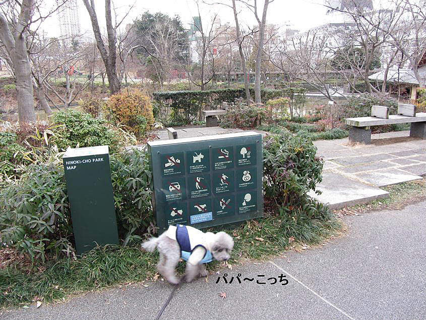 春の訪れ in 檜町公園_e0129656_22424012.jpg