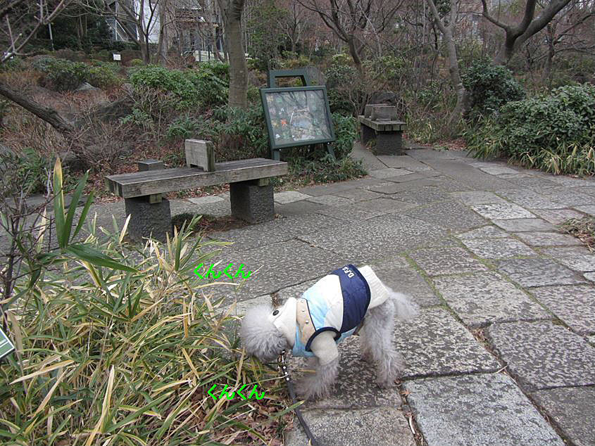 春の訪れ in 檜町公園_e0129656_2243320.jpg