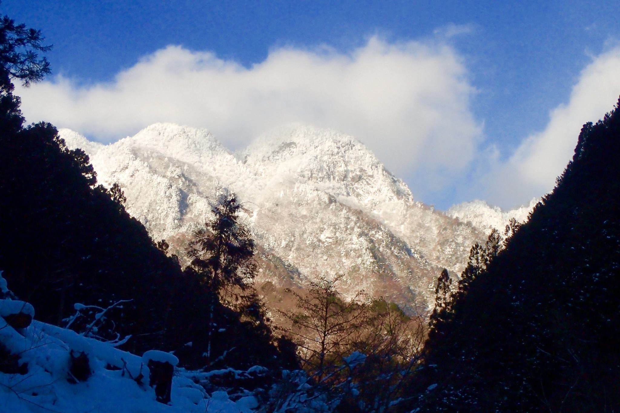 寒波日記_e0111396_234980.jpg