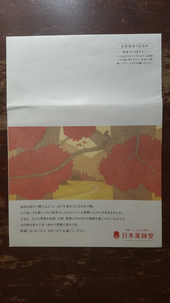 日本薬師堂封筒_a0353305_11353360.jpg