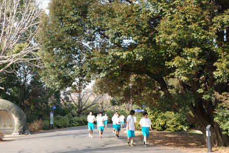 昭和記念公園へ_c0051105_10442677.jpg