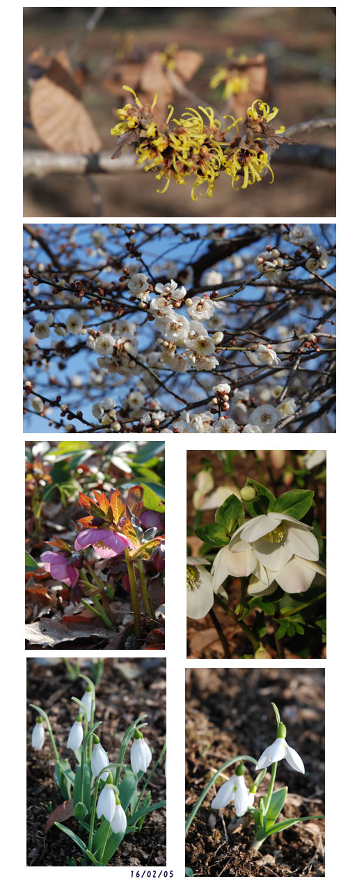 昭和記念公園へ_c0051105_1139349.jpg