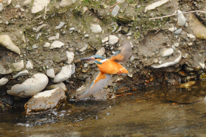 河口またもや谷_f0133213_20080906.jpg