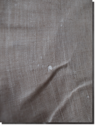 a0114514_1918343.png