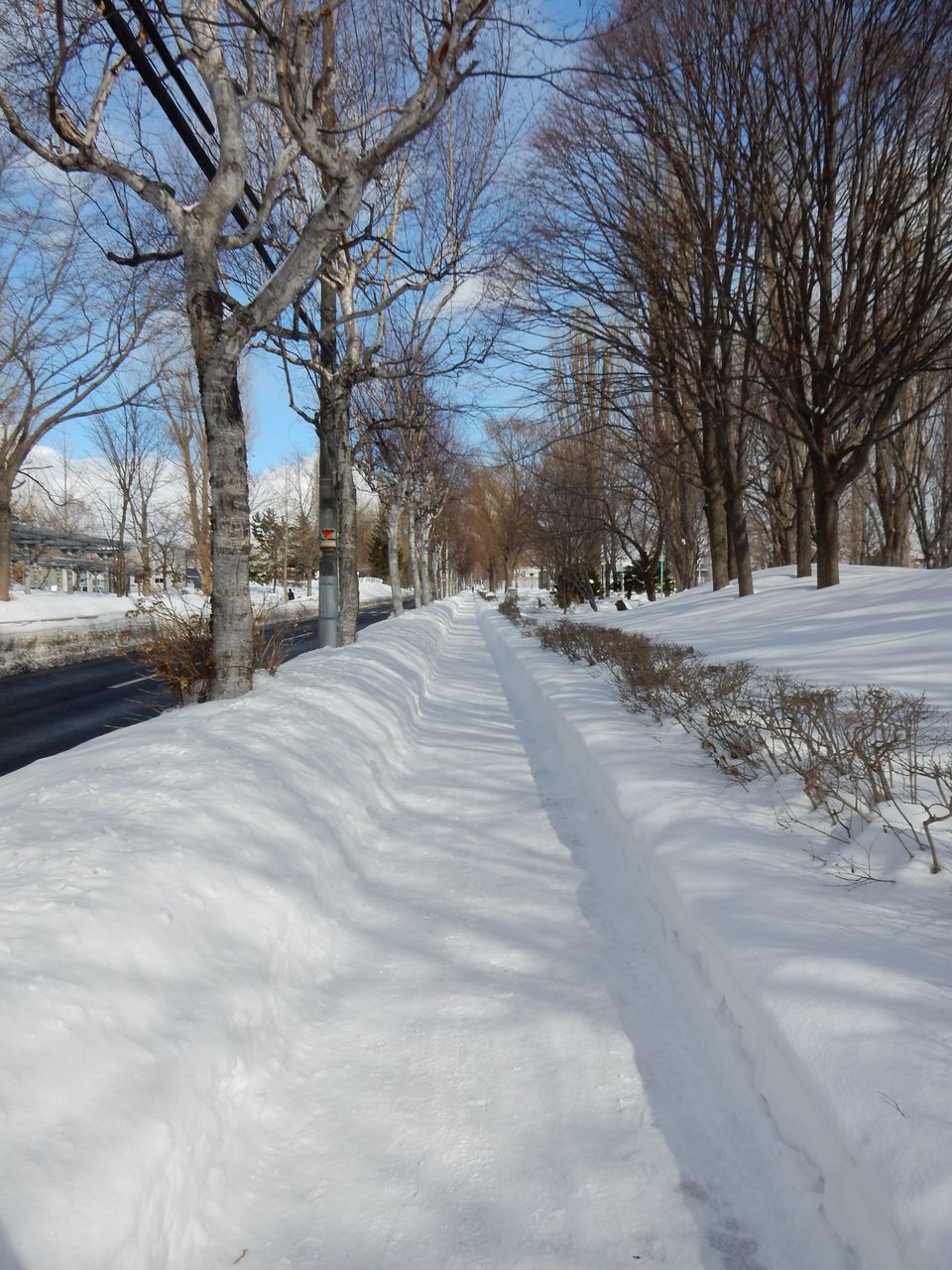真冬日は続く_c0025115_21443226.jpg