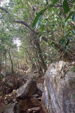 f0193521_41737.jpg