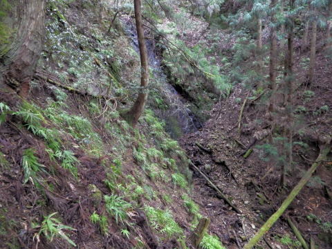 d0045626_23555300.jpg