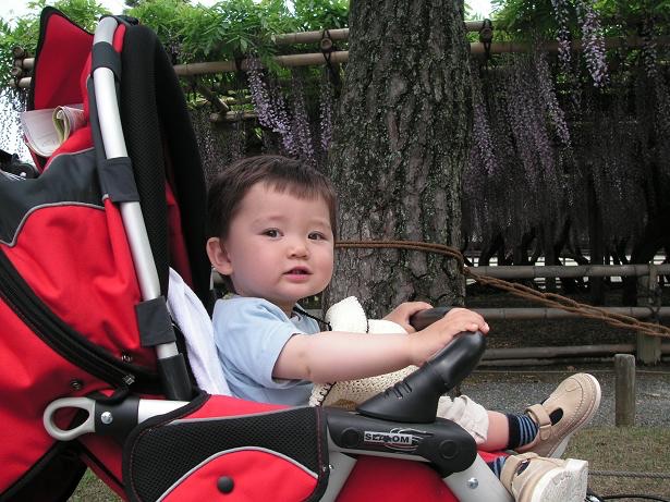a0050728_129277.jpg