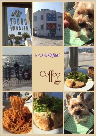 d0017632_22111014.jpeg