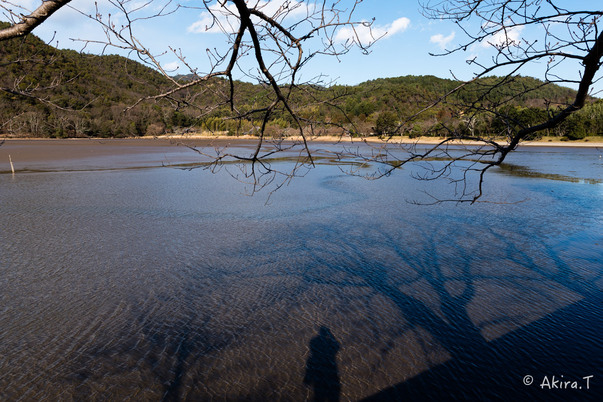 f0152550_2353147.jpg