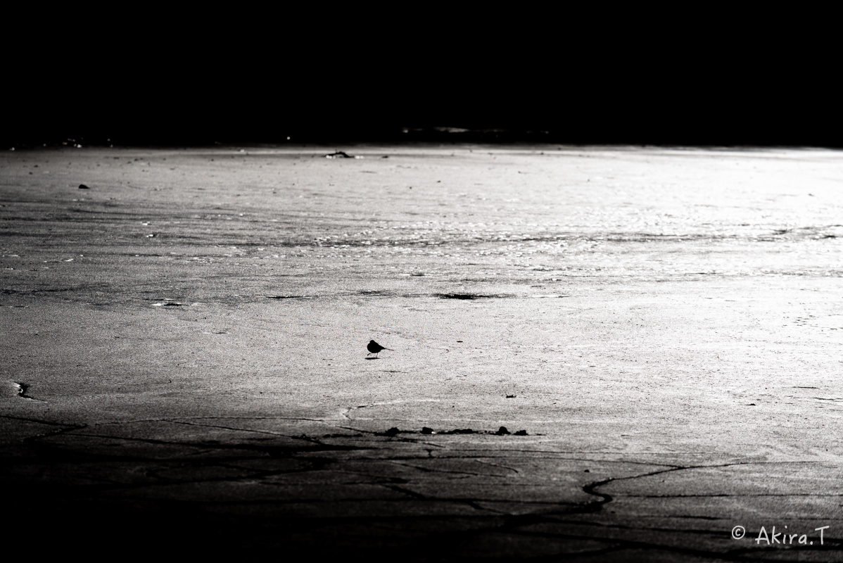 f0152550_23542122.jpg