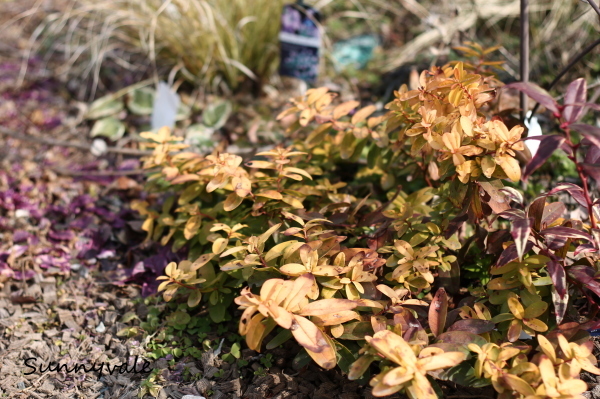 f0220152_19010017.jpg