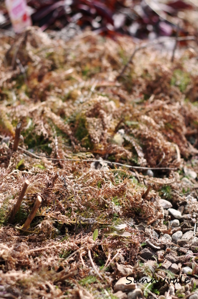 f0220152_19010524.jpg