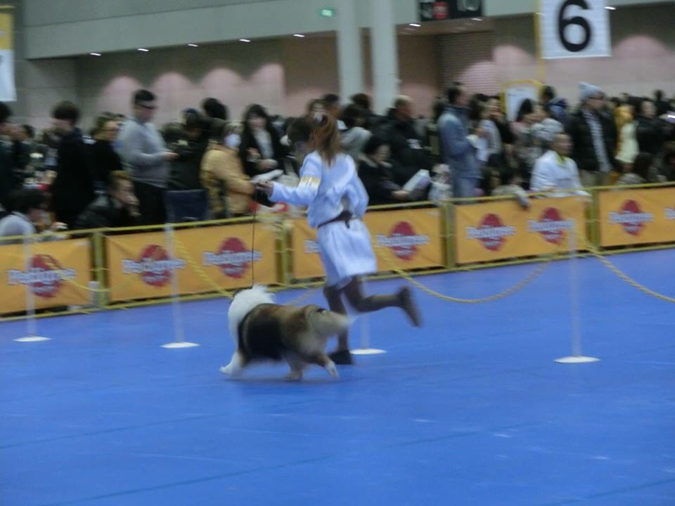 だいちゃんおめでとう!葵ちゃんがんばる。_f0126965_20501246.jpg