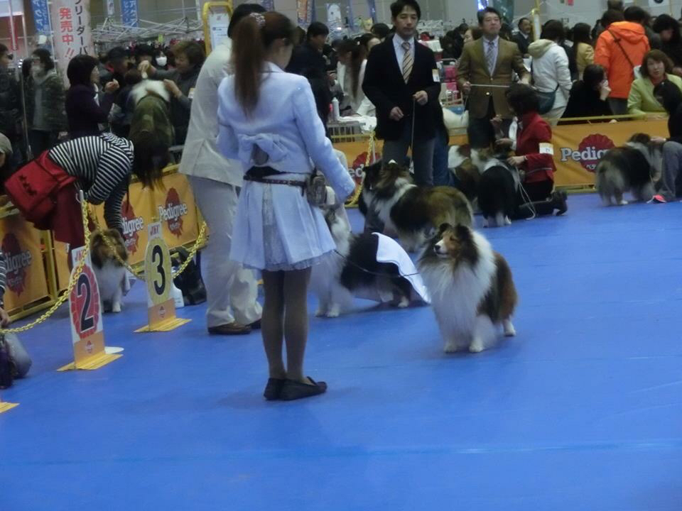 だいちゃんおめでとう!葵ちゃんがんばる。_f0126965_20501278.jpg
